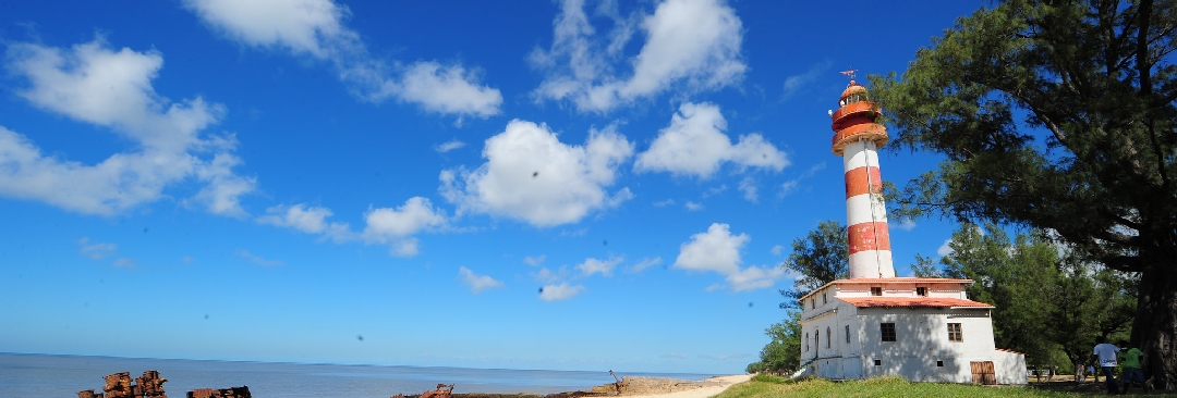 route to new south african markets