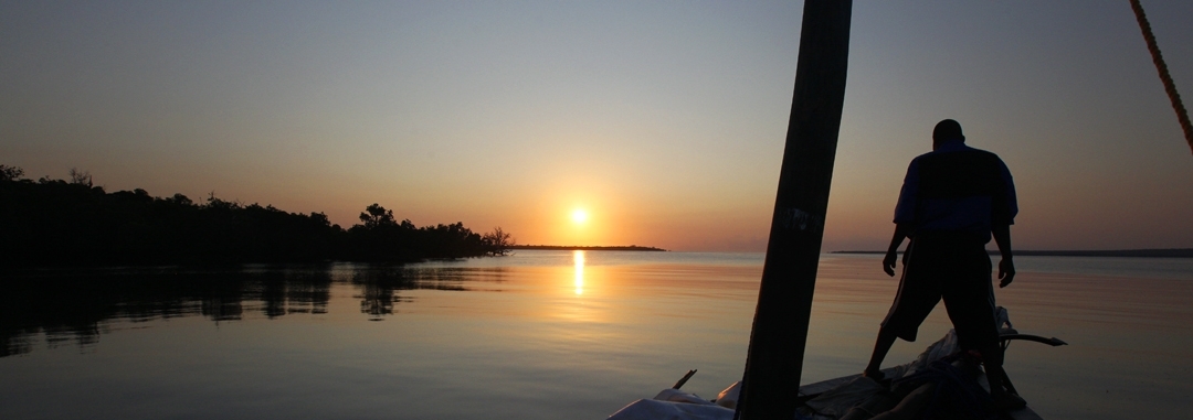 Export services, sales and distribution into south african markets